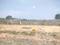 Koppa Gate Main Image 1