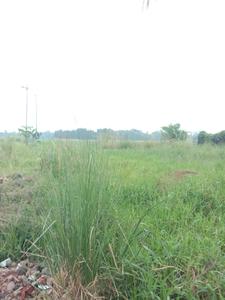 Image of 1440 Sq.ft Residential Plot / Land for sale in Fresco Fountain City Plots, Sankharipota, Raypur for Rs. 530001