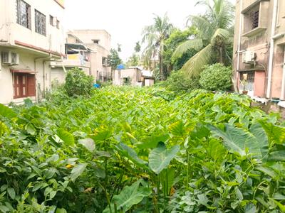 Behala Mauza Plot View 1