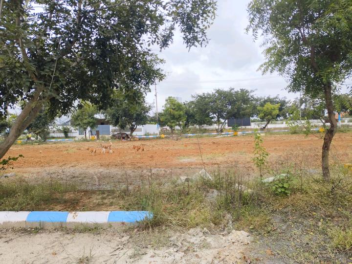 Srushti Silver Woods Main Image 1