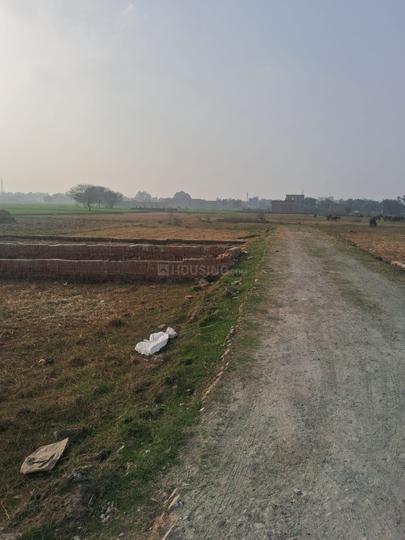 Adarsh Kashi Main Image 1