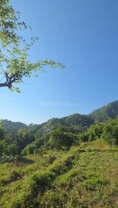 Rajpur Udyan Plot View 2