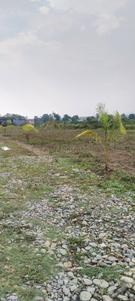 Image of 1800 Sq.ft Residential Plot / Land for sale in Bhauwala, Dehradun for Rs. 5700000