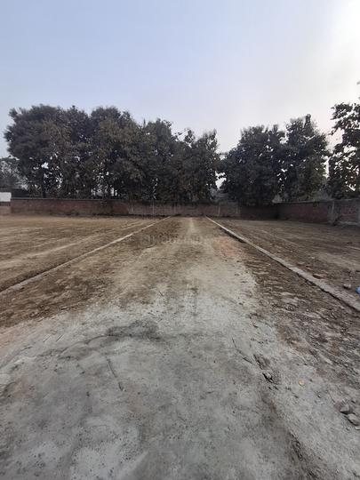 Salhupur Main Image 1