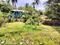 Land Main Image 1