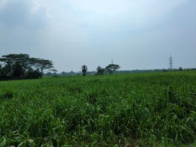 Image of 720 Sq.ft Residential Plot / Land for sale in Wander Valley, Joka, Kolkata for Rs. 305555