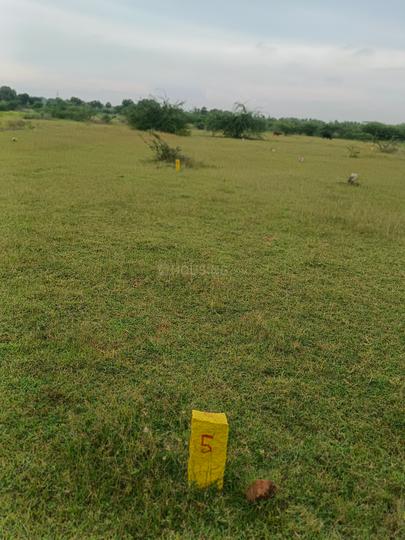 Kanchipuram Main Image 1