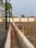Kovilpalayam Plot View 2
