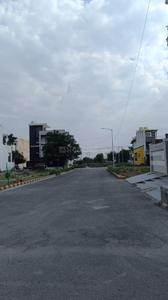 Residential Plot