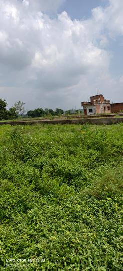 Gamharia Main Image 1