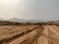 Trimbak Plot View 2