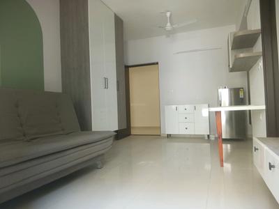1 RK Apartment