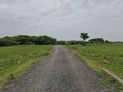 Image of 980 Sq.ft Residential Plot / Land for sale in Singaperumal Koil, Chennai for Rs. 1469023
