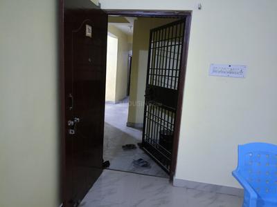 Hall Image of 1443 Sq.ft 3 BHK Apartment / Flat for sale in Nohsa Patna for Rs. 8000000