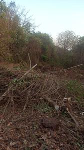 Image of 775 Sq.ft Residential Plot / Land for sale in Assonora, Goa for Rs. 15000000