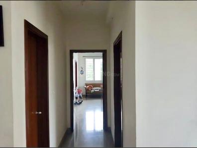 Bhk Flats House For Rent In Haralur Road Bhk Flats House Rent In