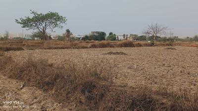 Tamando Plot View 2