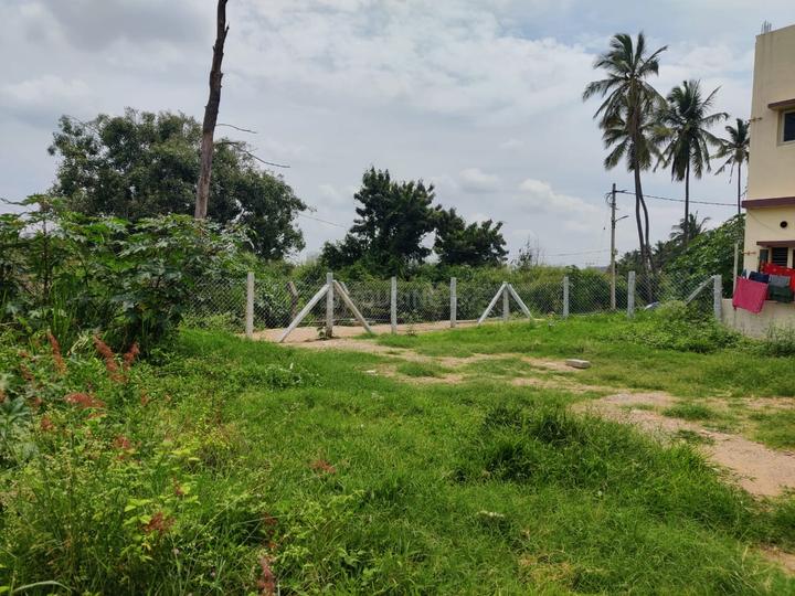 Siddapura Main Image 1