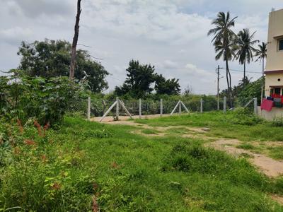 Siddapura Plot View 1