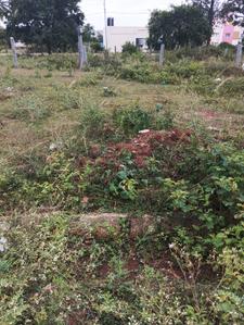 Residential Plot
