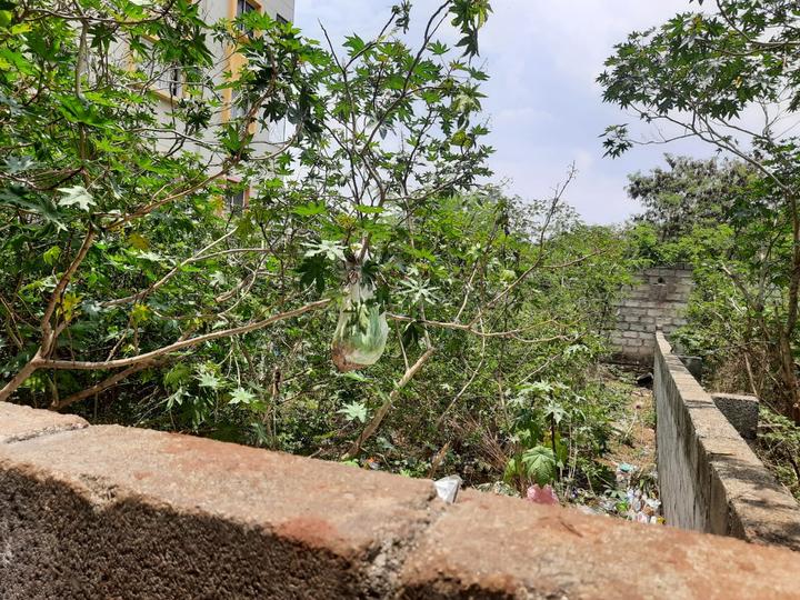 Yelenahalli, Akshayanagar Main Image 1