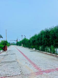 Image of 1200 Sq.ft 2 BHK Farm House for sale in Rohtak Station Diary Mohalla, Rohtak for Rs. 9000000