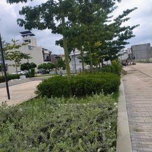 Image of 1000 Sq.ft Residential Plot / Land for sale in Nipania, Indore for Rs. 8500000
