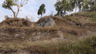 Image of 2178 Sq.ft Residential Plot / Land for sale in Kalimpong Khasmahal, Kalimpong for Rs. 1500000