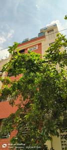 Image of 700 Sq.ft 1 BHK Builder Floor for rent in Kammanahalli, Bengaluru for Rs. 30000