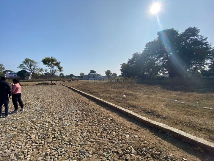 Bhauwala Main Image 1