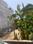 Chhapraula Main Image 1