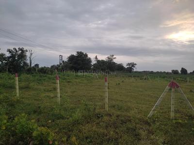 Haappy Home Mind Game Plot View 3