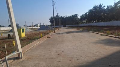 Residential Plot
