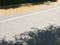 Experion The Westerlies Plots Internal Roads 1