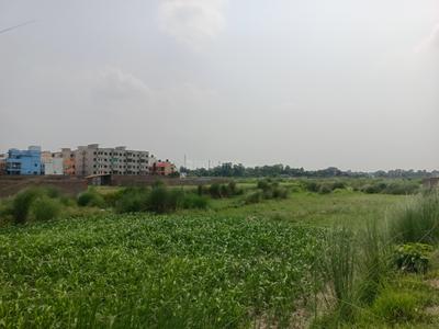New Apna Vihar Plot View 2