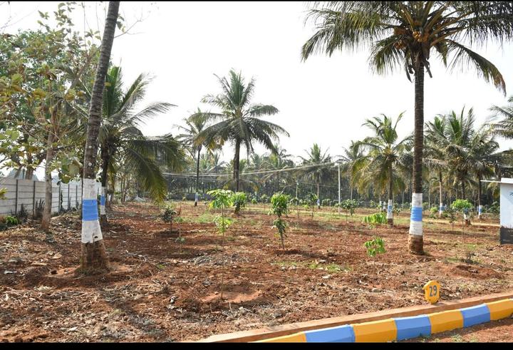 6000 Sqft Agricultural Land for Sale in Hunsur, | Property ID - 17516962