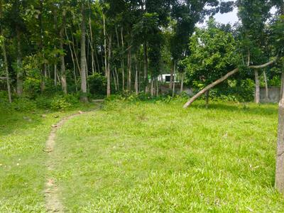 Image of 2880 Sq.ft Residential Plot / Land for sale in Krishnanagar, Nadia for Rs. 3000000
