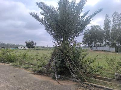 Image of 900 Sq.ft Residential Plot / Land for sale in Hoskote, Bengaluru for Rs. 2520100