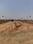 Jaipur Tonk road Chaksu bypass Main Image 1