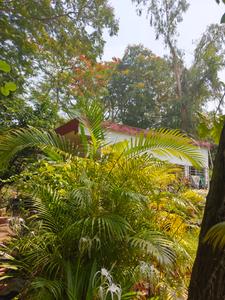 Image of 3000 Sq.ft 4 BHK Villa for sale in Santiniketan, Bolpur-Santiniketan for Rs. 13000000