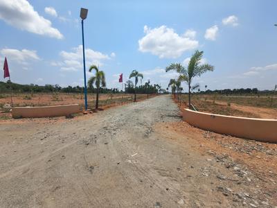SS VALLEY Plot View 1