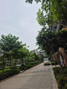 Image of 131 Sq.ft Residential Plot / Land for sale in Paras Floret, Sector 59, Gurgaon for Rs. 52500000
