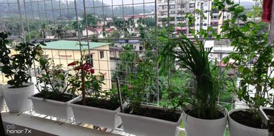 Balcony Image of 1447 Sq.ft 3 BHK Apartment / Flat for sale in Barbari Village Guwahati for Rs. 12500000