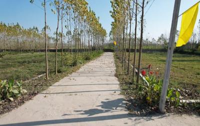 Haridwar paradise  More Images 3