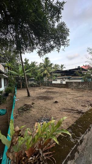 Manathala Main Image 1
