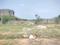 Koppa Gate Main Image 1