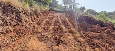 Boma Plot View 2