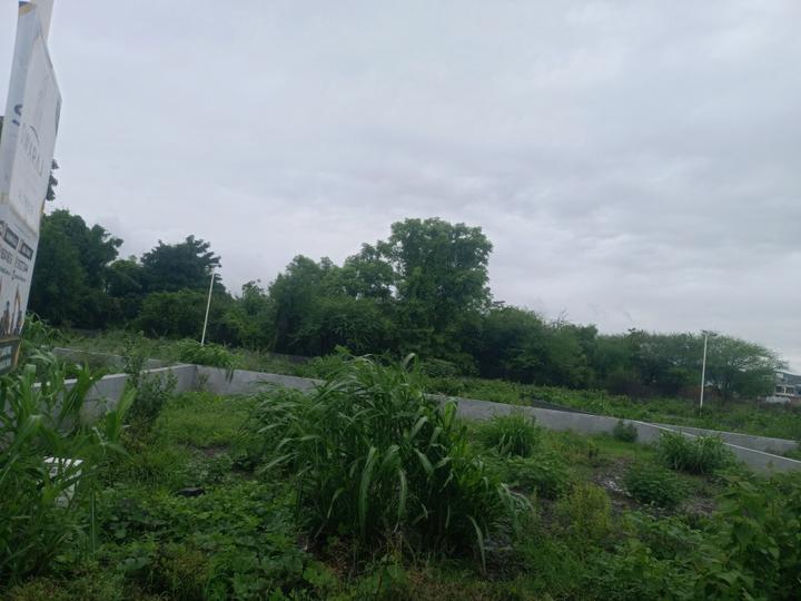 Phase 3 Main Image 1