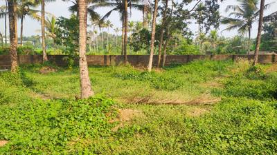 Residential Plot
