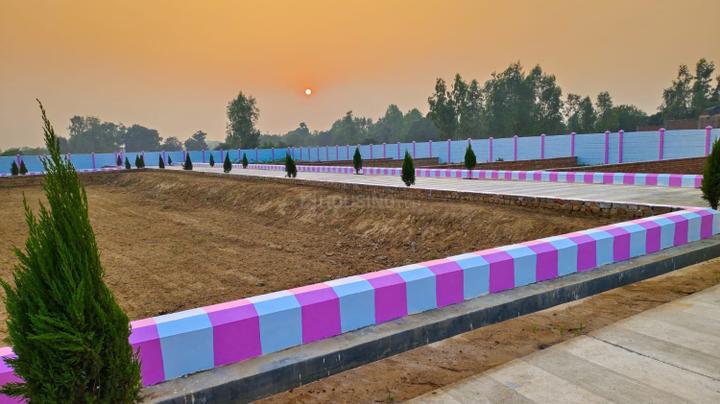 Pink city  Main Image 1